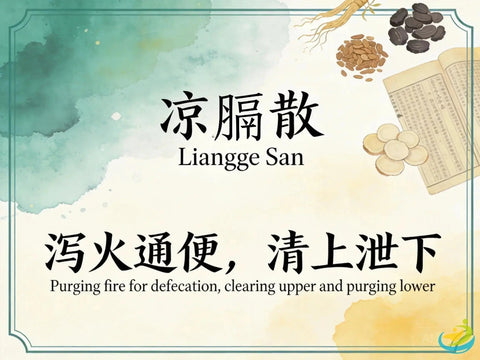Liang Ge San: Classic TCM Formula for Mouth Ulcers, Sore Throat & Upper Jiao Heat HJMEDICAL