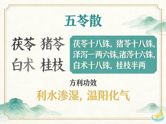 五苓散：温阳化气利水第一方，科学调理身体水肿与代谢性水蓄