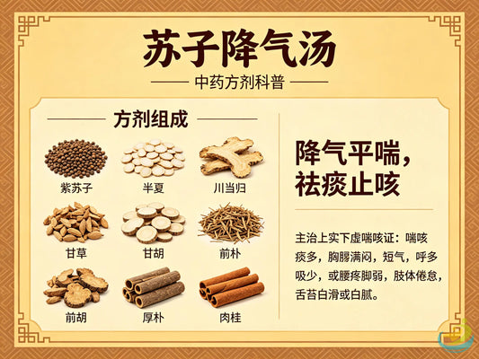 苏子降气汤 —— 中药方剂科普 HJMEDICAL