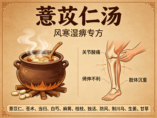薏苡仁汤详解：健脾渗湿、舒筋除痹的经典经方