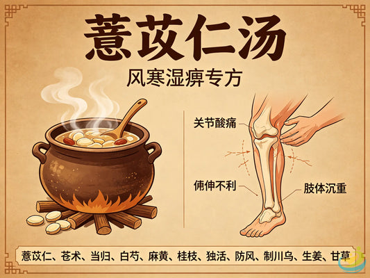 薏苡仁汤详解：健脾渗湿、舒筋除痹的经典经方 HJMEDICAL