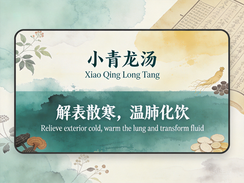 小青龙汤