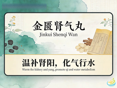 Jin Gui Shen Qi Wan: Classic TCM Formula for Kidney Yang Deficiency, Edema & Lower Back Pain HJMEDICAL