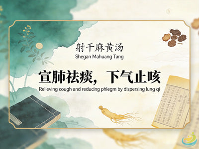 She Gan Ma Huang Tang: Classic TCM Formula for Cold Phlegm, Cough & Wheezing in the Throat HJMEDICAL