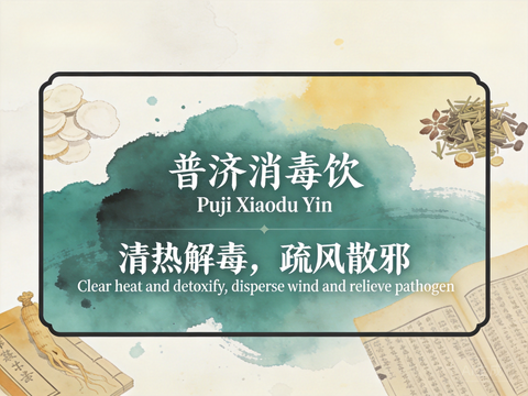 Pu Ji Xiao Du Yin