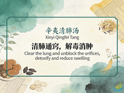 Xin Yi Qing Fei Tang: Classic TCM Formula for Nasal Congestion, Sinusitis & Lung Heat HJMEDICAL