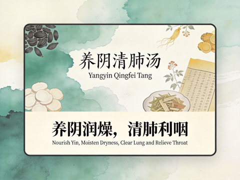 Yang Yin Qing Fei Tang