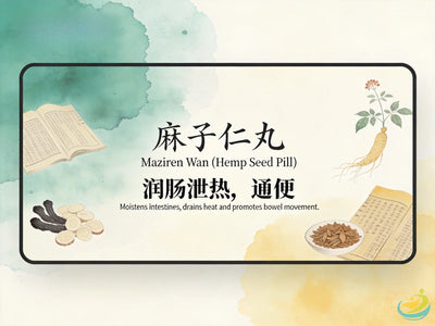 Ma Zi Ren Wan: Classic TCM Formula for Constipation due to Intestinal Dryness & Heat HJMEDICAL