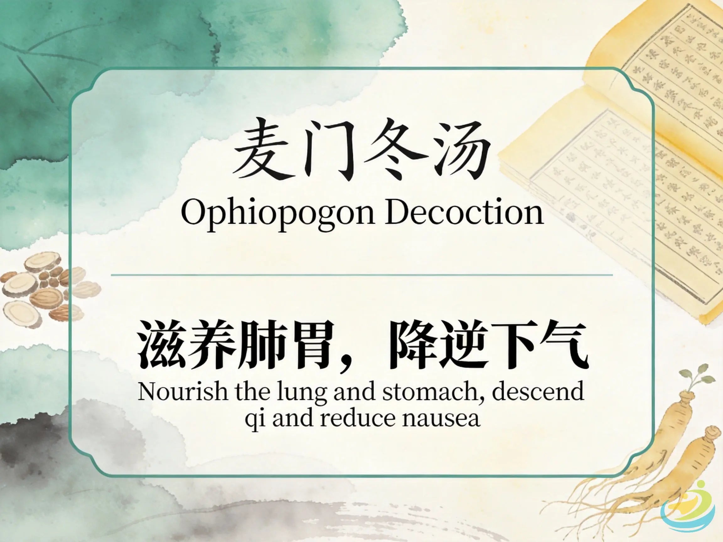 Mai Men Dong Tang: Classic TCM Formula for Lung & Stomach Yin Deficiency with Dry Cough HJMEDICAL