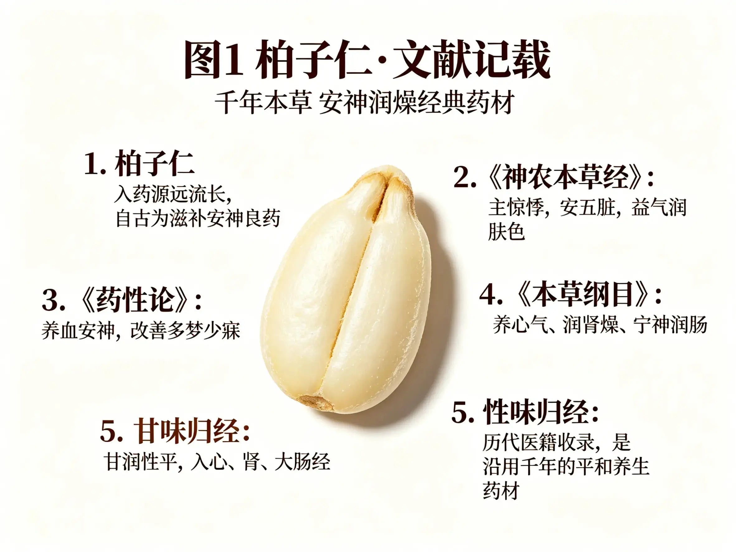 柏子仁：养心安神、润肠通便的滋补药材，药用与养生全解析 HJMEDICAL