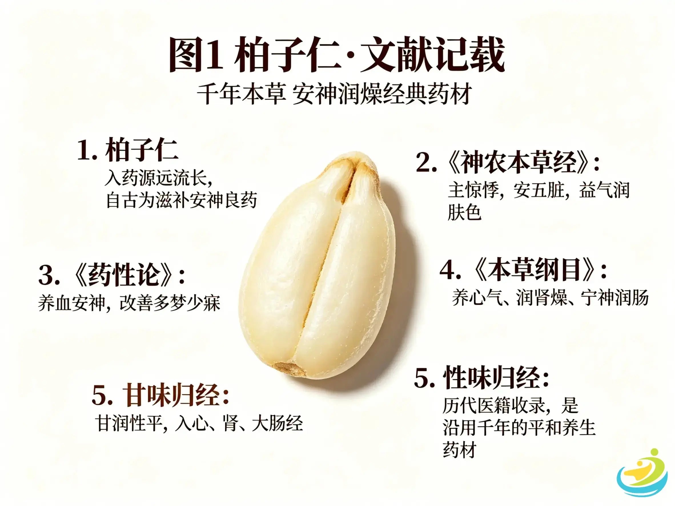 Bai Zi Ren (Arborvitae Seed): The Classic Herb for Nourishing Heart, Calming Spirit and Moistening Intestines HJMEDICAL