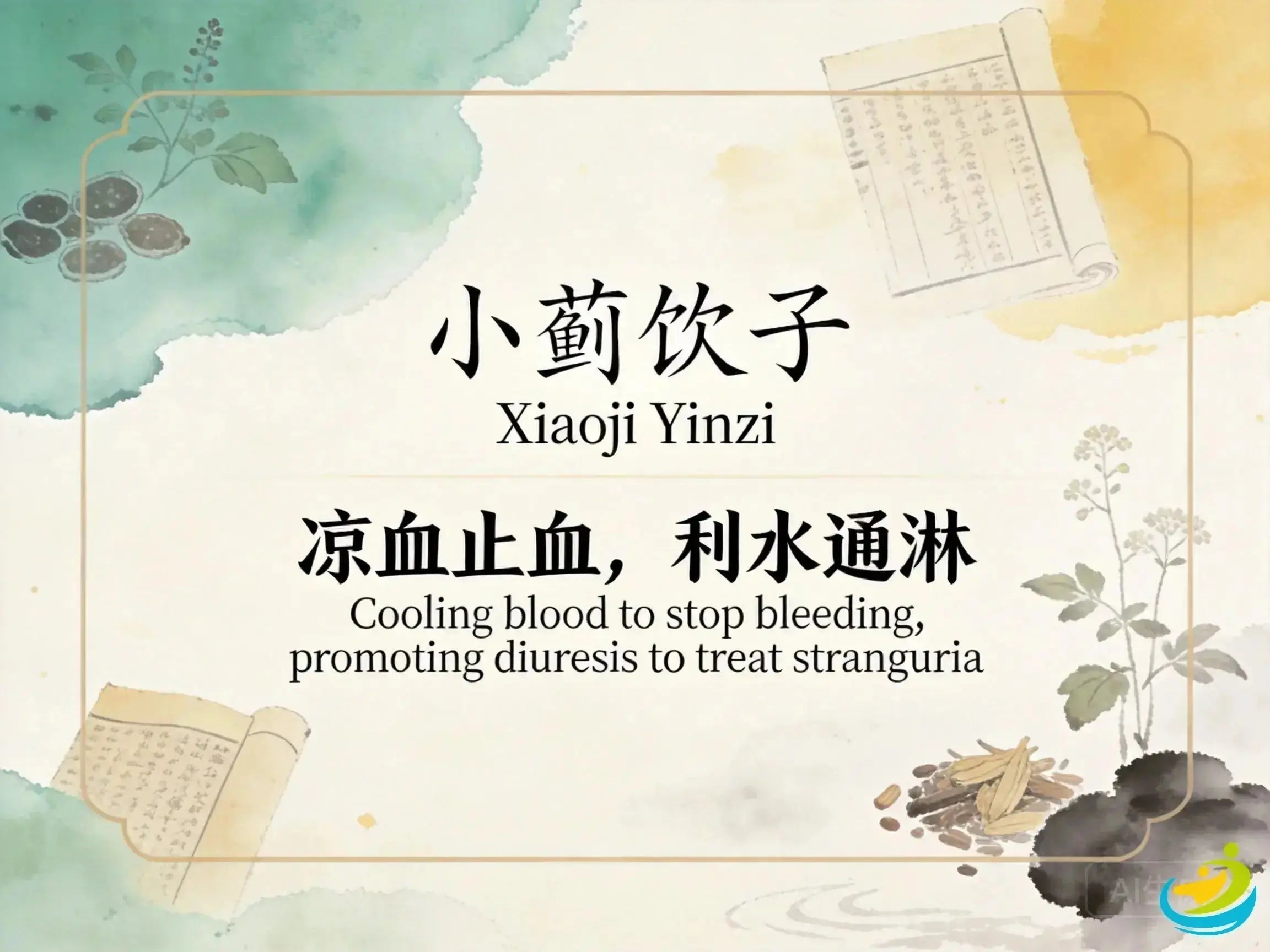 Xiao Ji Yin Zi: Classic TCM Formula for Bloody Urine, Heat in the Blood & Lin Syndrome HJMEDICAL