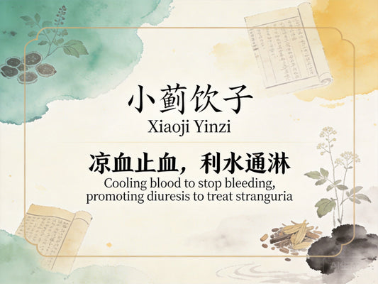 小蓟饮子：凉血止血利尿通淋，改善血尿与泌尿道感染反复发作