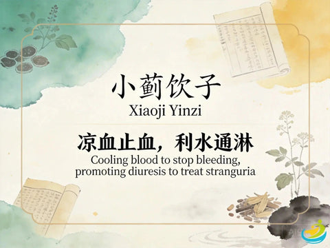 Xiao Ji Yin Zi: Classic TCM Formula for Heat-Induced Hematuria and Painful Urination with Blood HJMEDICAL