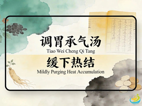 Tiao Wei Cheng Qi Tang: Traditional Chinese Formula for Heat Accumulation and Constipation HJMEDICAL