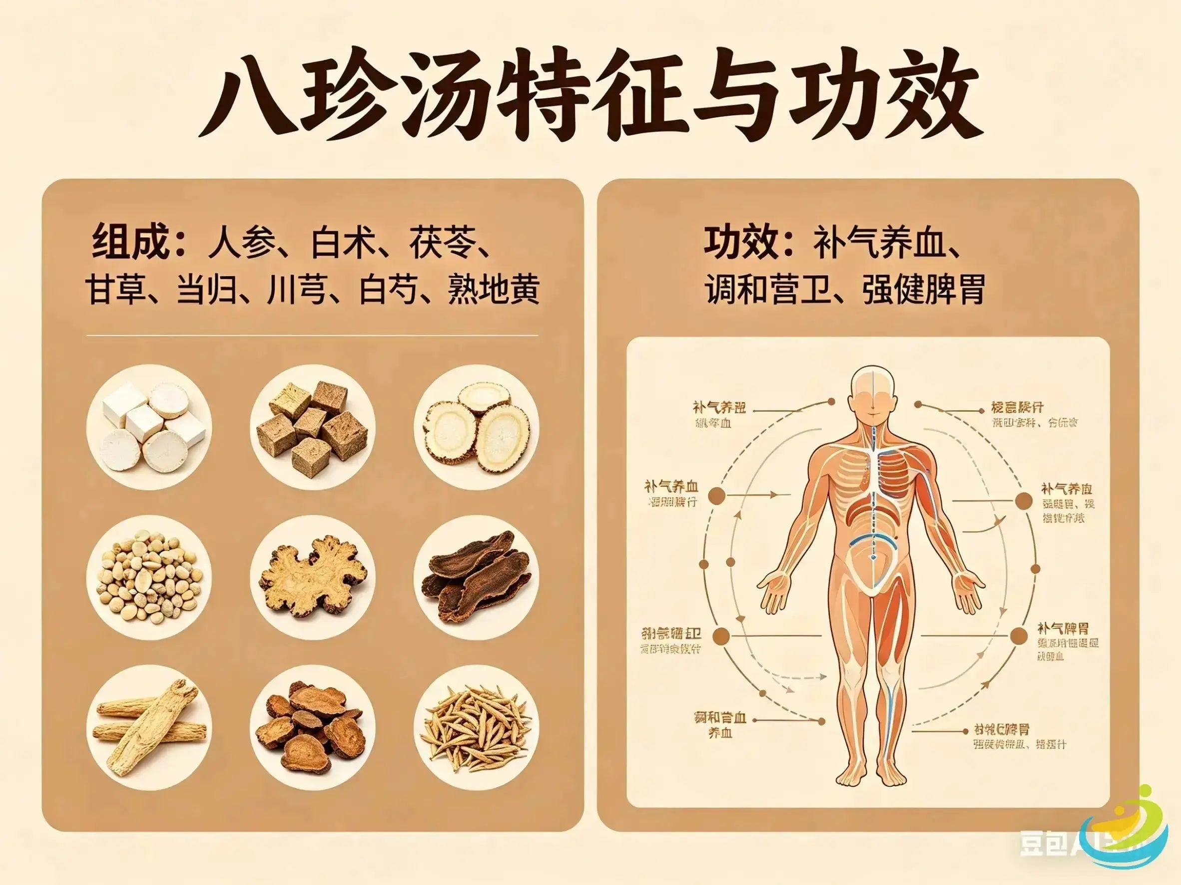 Ba Zhen Tang: A Comprehensive Guide to Tonifying Qi and Blood HJMEDICAL