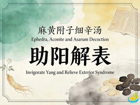 Ma Huang Fu Zi Xi Xin Tang: Traditional Chinese Formula for Exterior Cold and Yang Deficiency HJMEDICAL