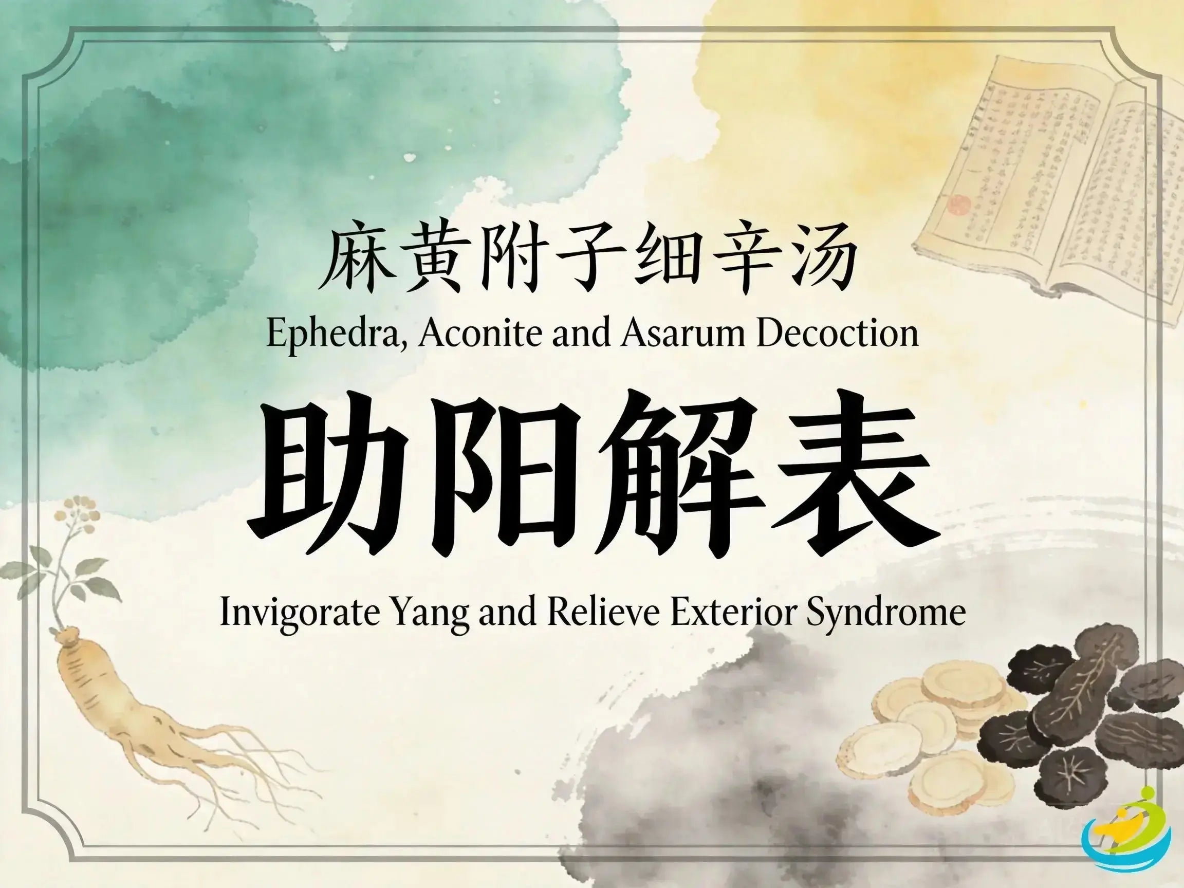 Ma Huang Fu Zi Xi Xin Tang: Classic TCM Formula for Exterior Cold with Yang Deficiency HJMEDICAL
