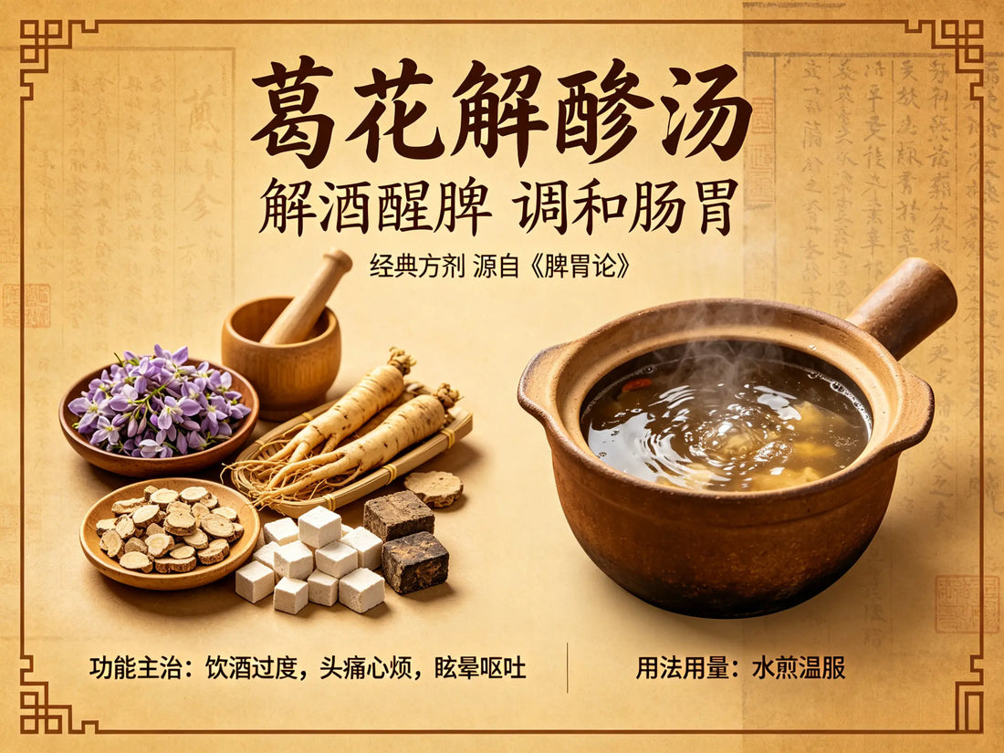 解酒健脾第一方：葛花解酲汤全解析——方解、功效与临床应用详解 HJMEDICAL