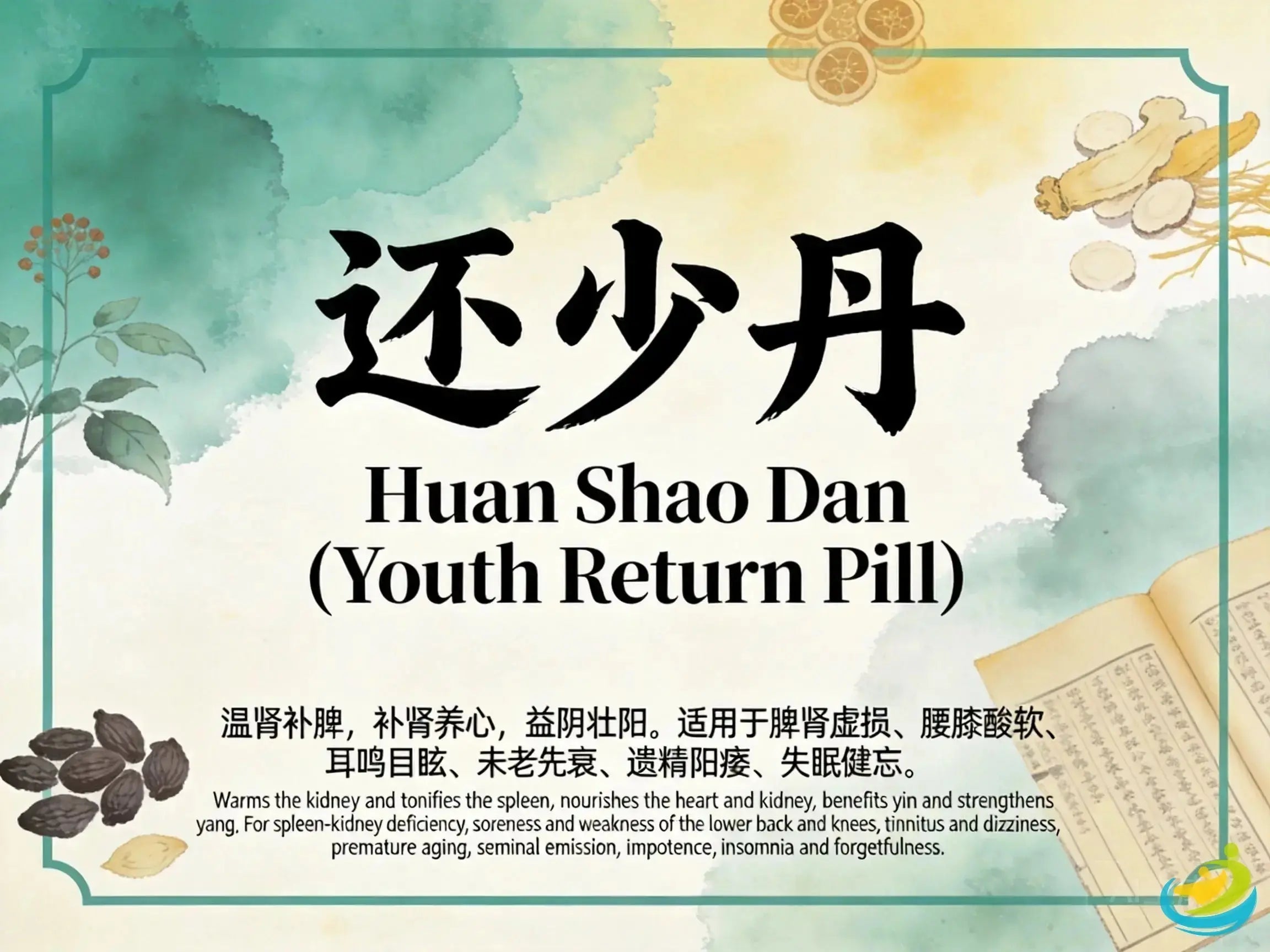 Huan Shao Dan: Classic TCM Formula for Kidney and Spleen Deficiency and Anti-Aging HJMEDICAL