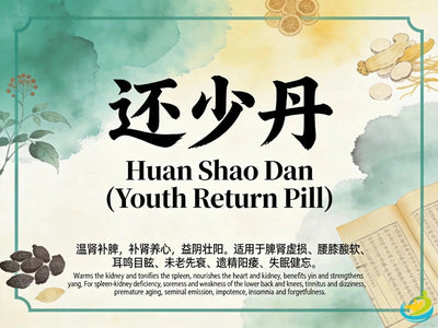 Huan Shao Dan: Classic TCM Formula for Kidney and Spleen Deficiency and Anti-Aging HJMEDICAL