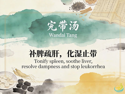 Wan Dai Tang: Classic TCM Formula for White Leukorrhea, Spleen Deficiency & Dampness HJMEDICAL