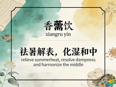 Xiang Ru Yin: Classic TCM Formula for Summer-Heat with Exterior Cold & Dampness HJMEDICAL