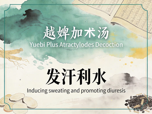 越婢加术汤：宣肺利水祛湿消肿，改善肾病水肿与膝关节积液反复肿胀