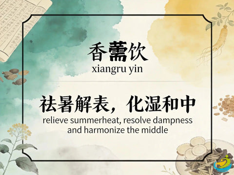 Xiang Ru Yin: Classic TCM Formula for Summerheat with Dampness or Wind-Cold in Summer HJMEDICAL