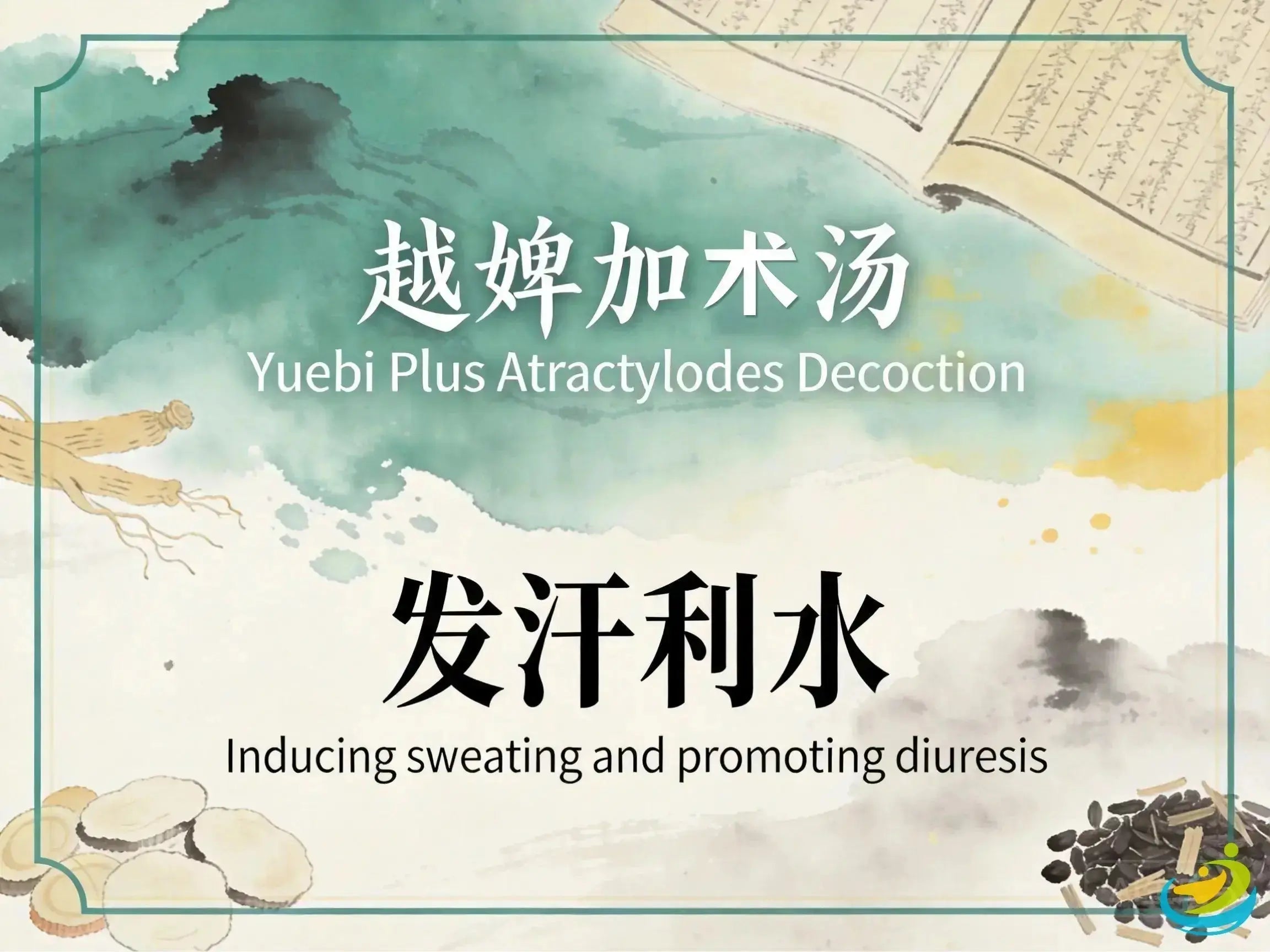 Yue Bi Jia Zhu Tang: Classic TCM Formula for Wind-Edema, Facial Swelling & Exterior Excess HJMEDICAL