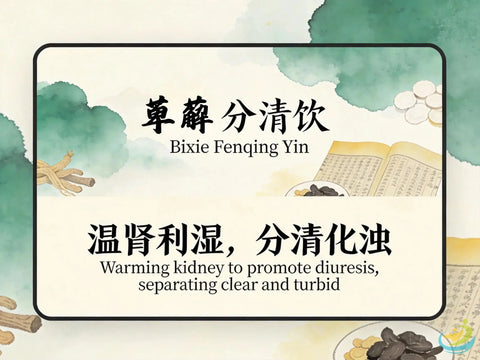Bi Xie Fen Qing Yin: Classic TCM Formula for Cloudy Urine, Turbid Lin & Dampness in the Lower Burner HJMEDICAL