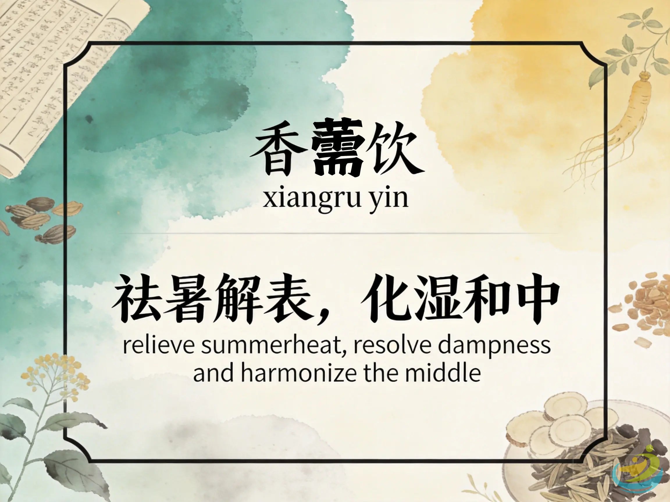 香薷饮：解表化湿和中消暑，缓解暑湿感冒与急性胃肠炎不适 HJMEDICAL