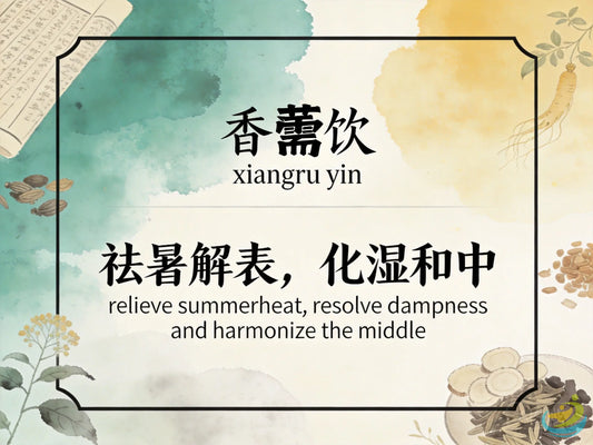 香薷饮：解表化湿和中消暑，缓解暑湿感冒与急性胃肠炎不适 HJMEDICAL