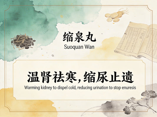 缩泉丸：温肾固缩止遗缩尿，改善尿频夜尿与膀胱过度活动症困扰