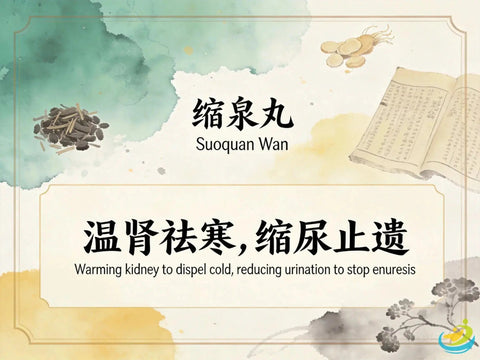 Suo Quan Wan: Classic TCM Formula for Kidney Deficiency Causing Enuresis and Urinary Incontinence HJMEDICAL