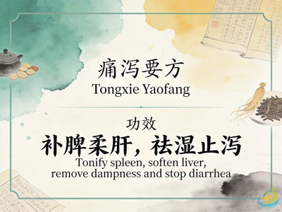 Tong Xie Yao Fang: Classic TCM Formula for Painful Diarrhea, Liver-Spleen Disharmony HJMEDICAL