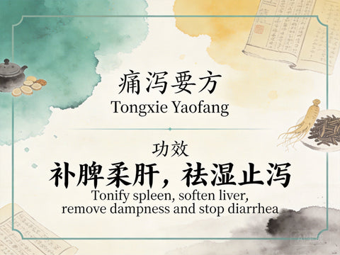 Tong Xie Yao Fang