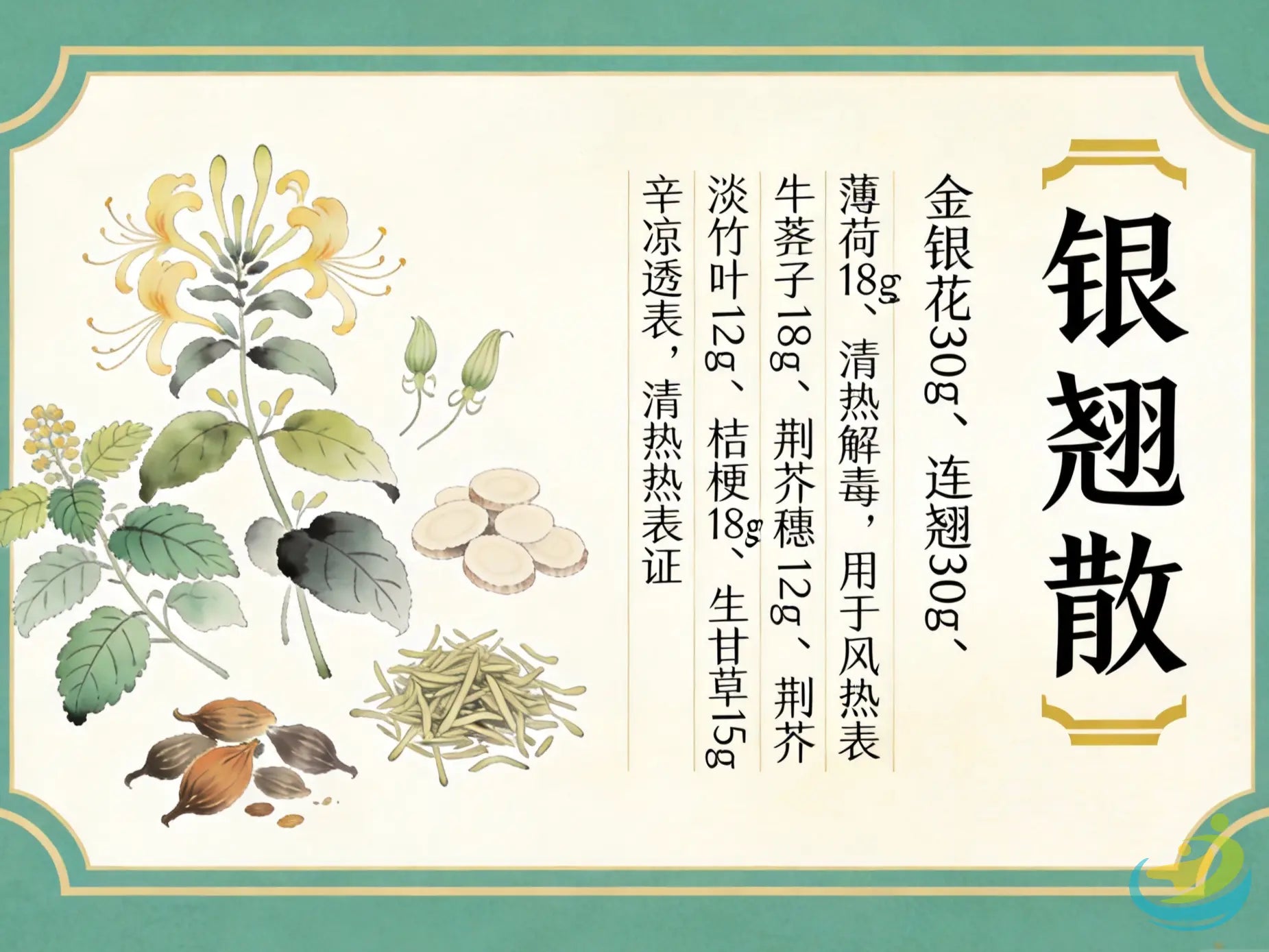 银翘散：辛凉解表第一方，调理病毒性感冒与急性咽喉肿痛 HJMEDICAL