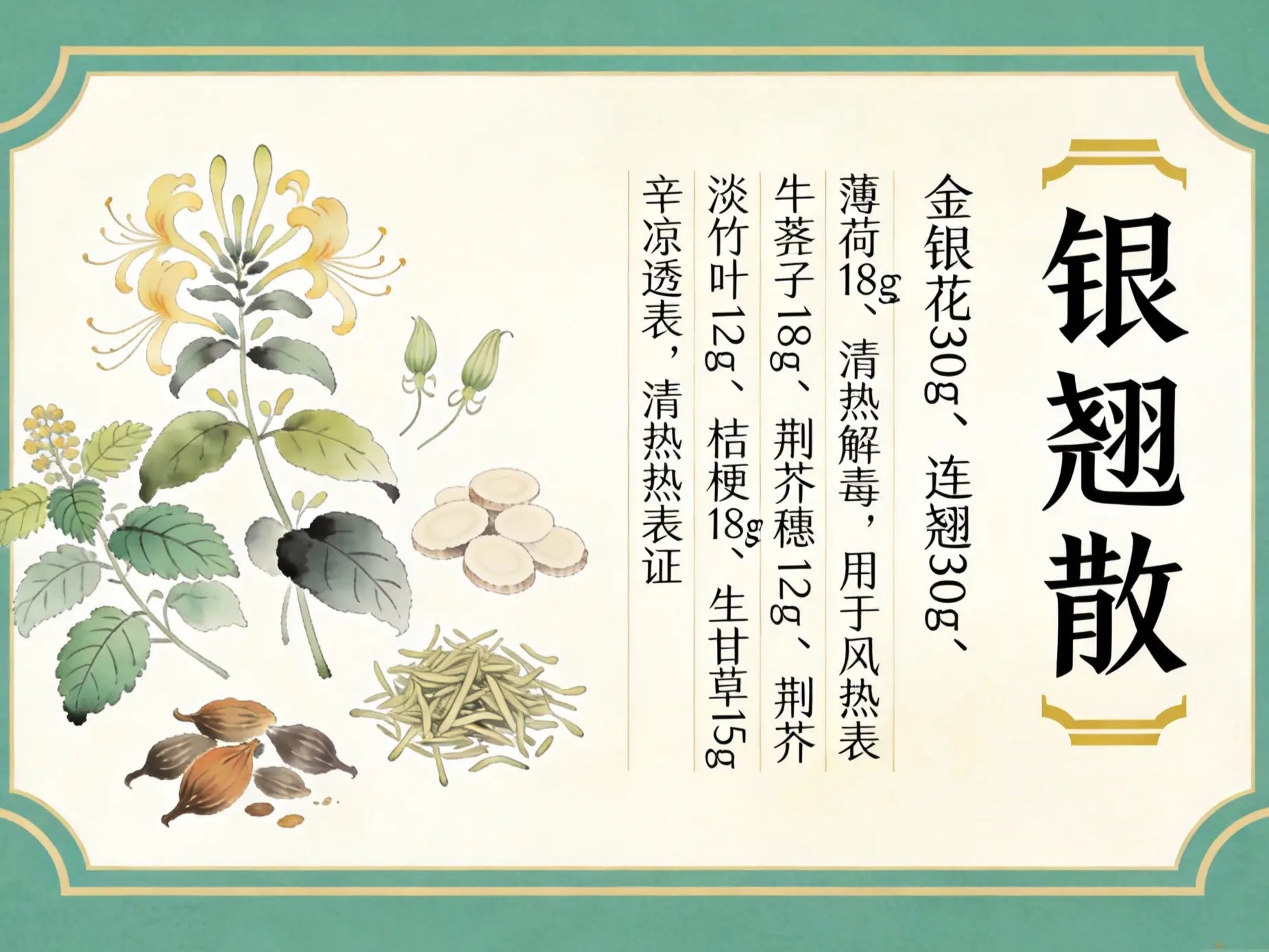 银翘散：辛凉解表第一方，调理病毒性感冒与急性咽喉肿痛