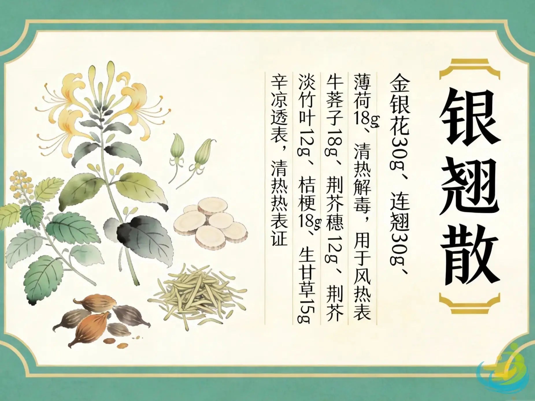 Yin Qiao San: Classic TCM Formula for Wind-Heat Invasion, Early Cold & Flu with Sore Throat HJMEDICAL