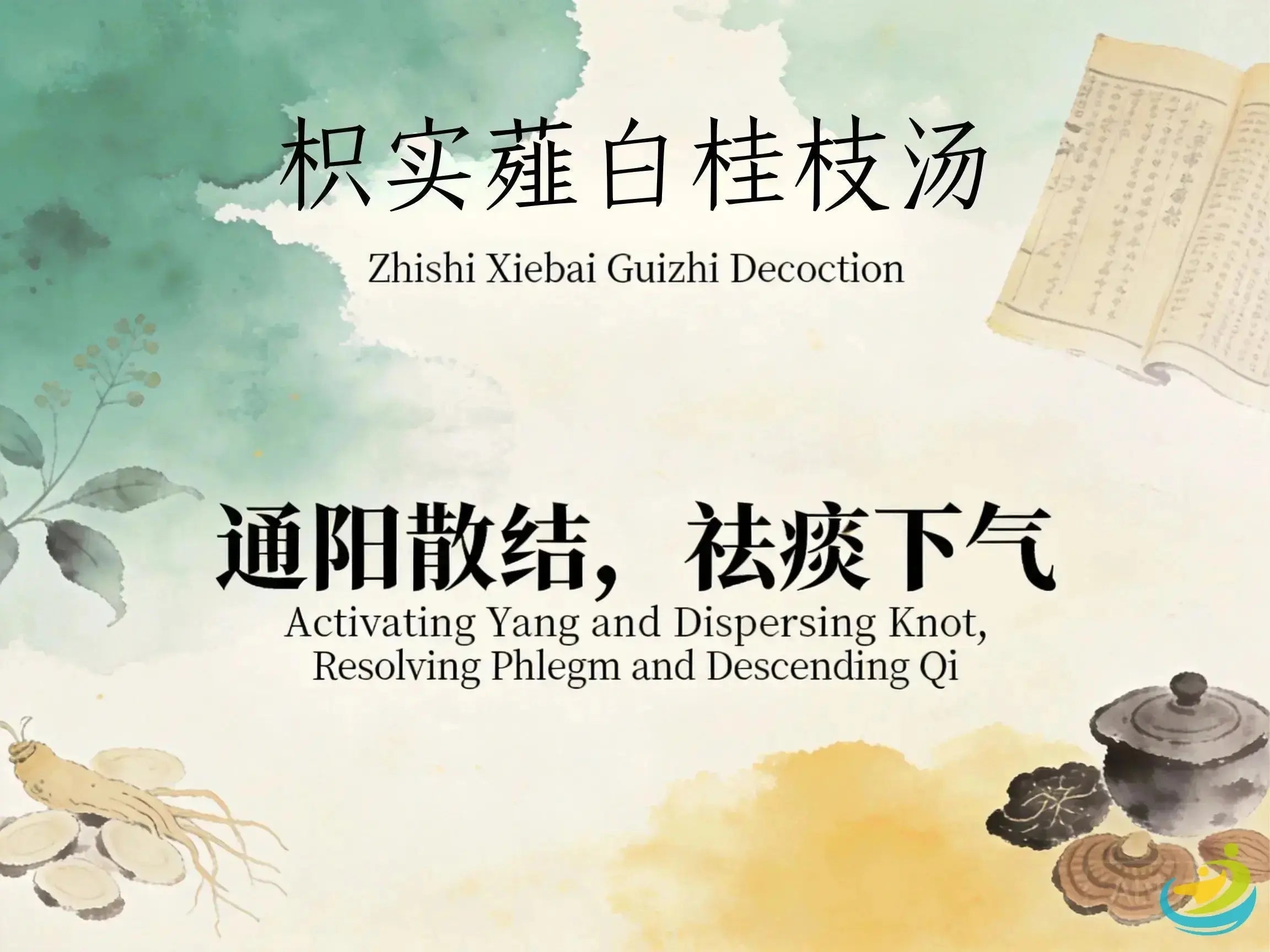 Zhi Shi Xie Bai Gui Zhi Tang: Classic TCM Formula for Chest Bi, Pain & Qi Stagnation with Cold HJMEDICAL