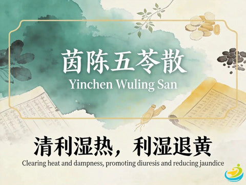 Yin Chen Wu Ling San: TCM Formula for Dampness and Jaundice Support HJMEDICAL