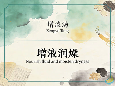 Zeng Ye Tang: Increasing Body Fluids to Relieve Intestinal Dryness and Severe Constipation HJMEDICAL