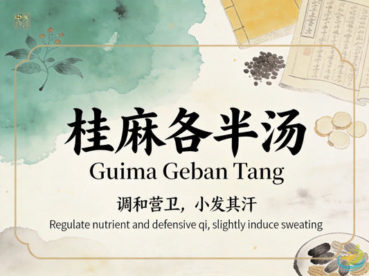 桂麻各半汤：解肌发汗调和营卫，改善感冒初期、发热恶寒与反复低热问题 HJMEDICAL