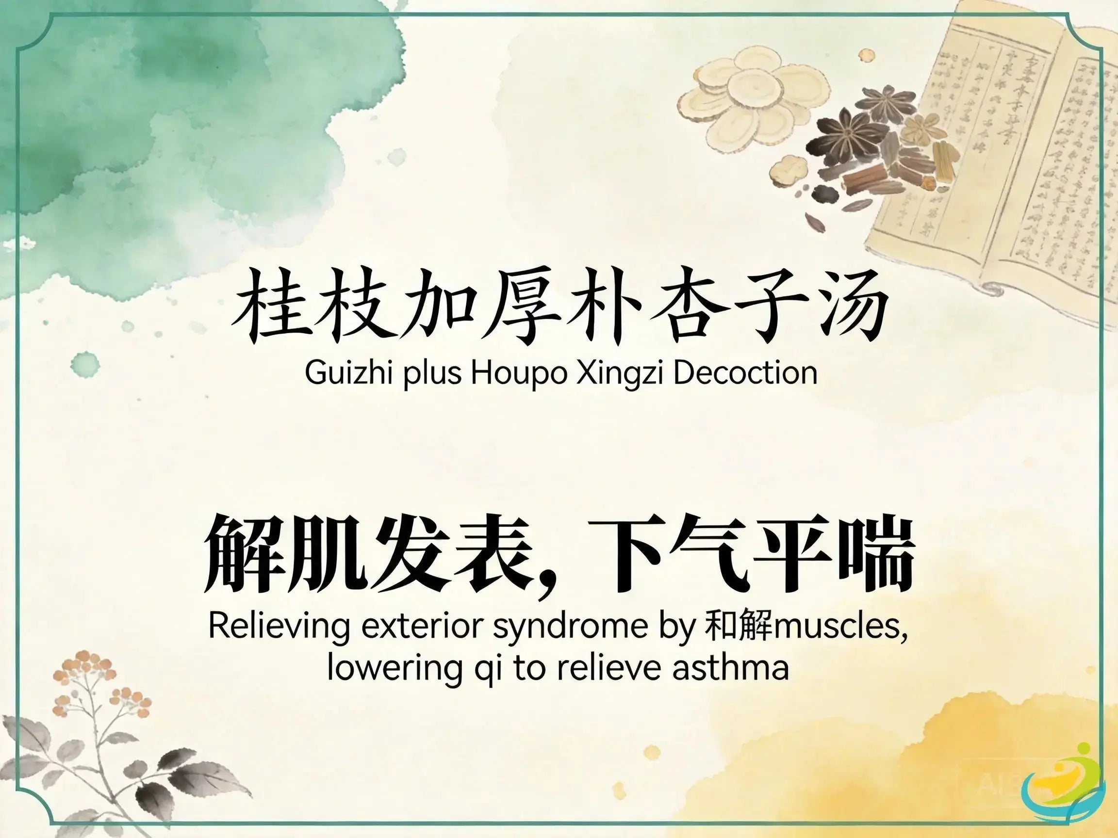 Gui Zhi Jia Hou Po Xing Zi Tang: Classic TCM Formula for Exterior Wind-Cold with Cough & Wheezing HJMEDICAL