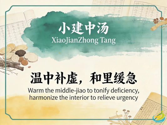 Xiao Jianzhong Tang HJMEDICAL