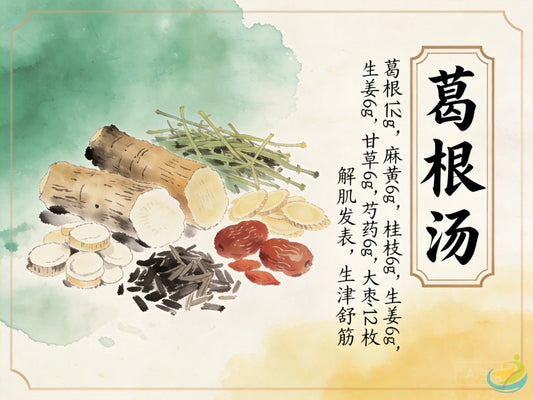 葛根汤：解表舒筋第一方，科学调理流感早期无汗与颈椎发僵疼痛