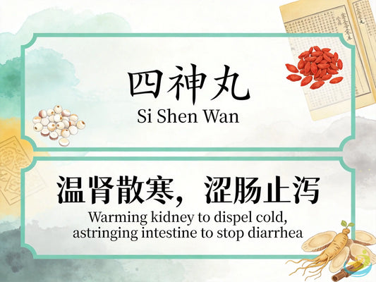 四神丸：温肾暖脾涩肠止泻，改善肠易激综合征与慢性腹泻反复发作 HJMEDICAL