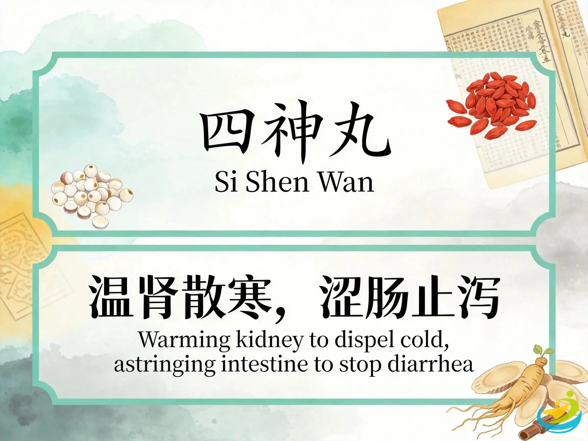 Si Shen Wan: Classic TCM Formula for Kidney Yang Deficiency & Early Morning Diarrhea HJMEDICAL