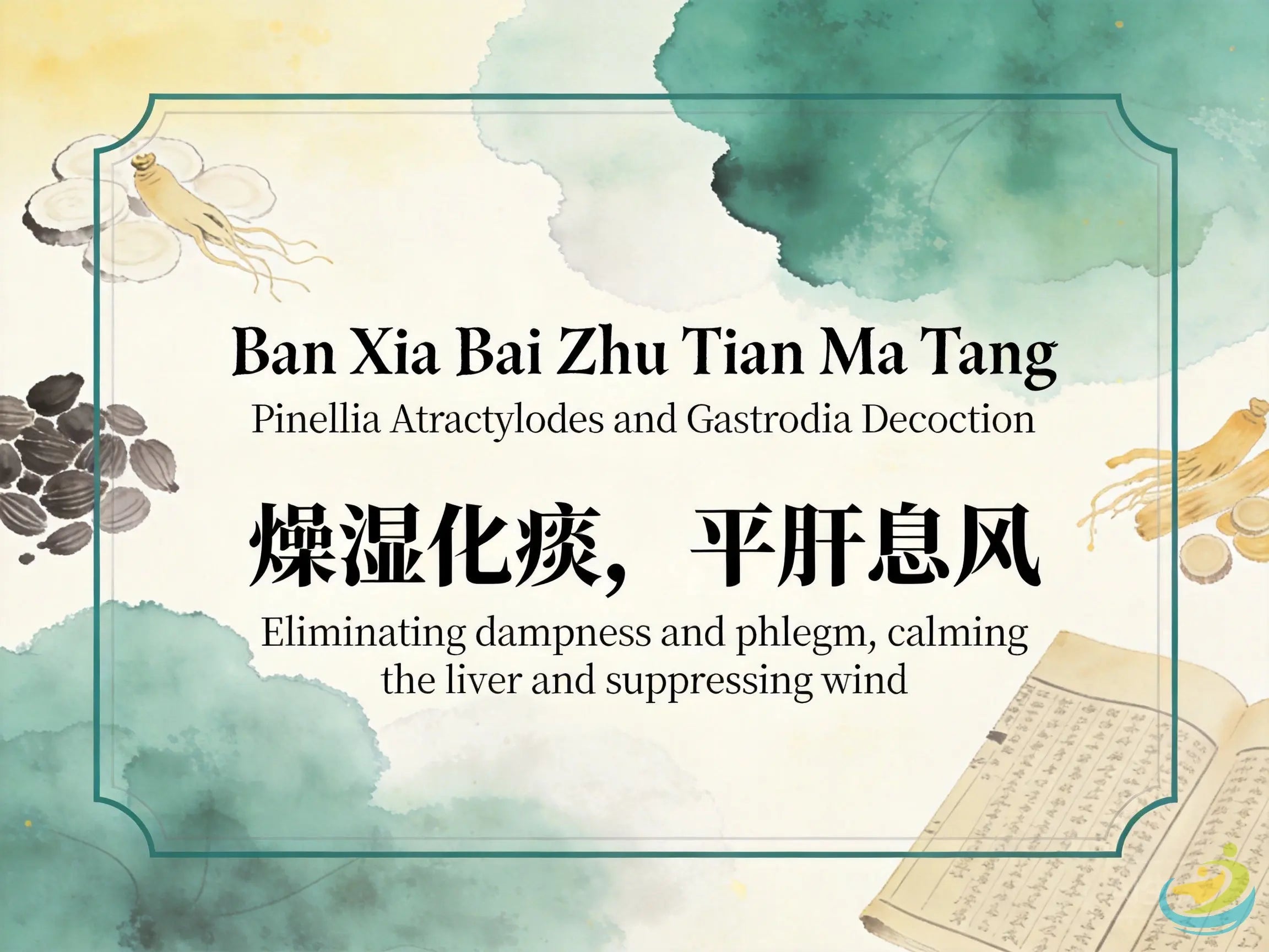 Ban Xia Bai Zhu Tian Ma Tang: Classic TCM Formula for Wind-Phlegm, Dizziness, Headache & Vertigo HJMEDICAL